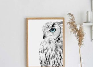 Plakat dżungla, a może sowa – co sprawdzi się w Twojej przestrzeni?