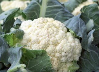 Jak zrobić kalafior z grilla?