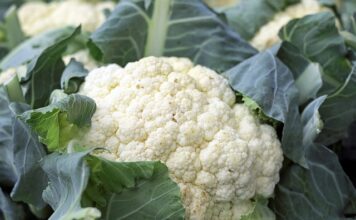 Jak zrobić kalafior z grilla?