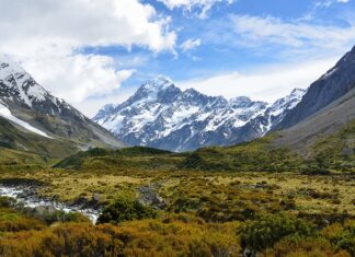 Jak podać Nowa matkę do ula? Jak podać Nowa matkę do ula?