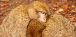 Czy opłaca się grzać prądem?