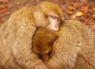 Czy opłaca się grzać prądem? Czy opłaca się grzać prądem?