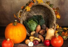 Czego symbolem jest dynia?