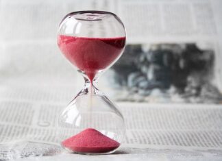 Po jakim czasie wygryza się matka pszczela?