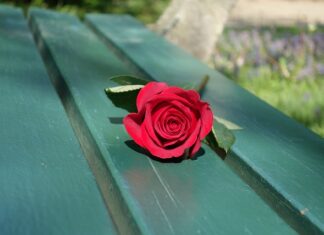 Czym obić ławkę ogrodowa?