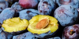 Czy śliwka nadaje się do wędzenia?