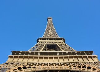 Gdzie jest stolicą borowika w Polsce?