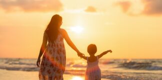 Ile kosztuje matka pszczela?