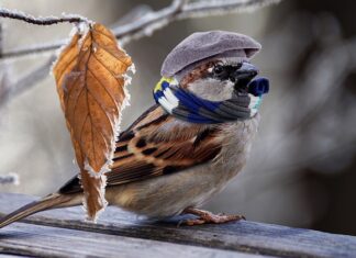 Jak tanio ogrzać duży dom? Jak tanio ogrzać duży dom?