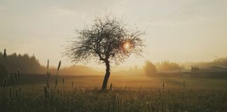 Czy rana bez szycia się zagoi?