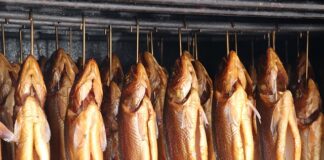 Ile kosztuje wędzarnia?