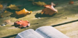 Jak długo smażyć steka na grillu elektrycznym?