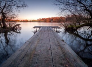 Jaki kołek do śruby M8?