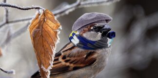 Czym najlepiej ogrzać łazienkę?