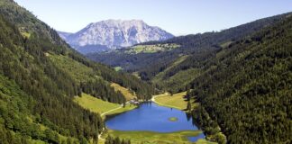 Jak się wędzi pstrąga?