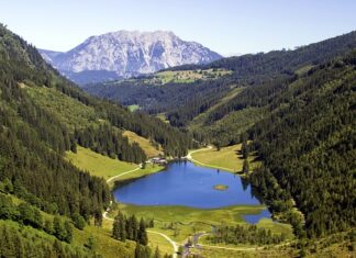 Jak się wędzi pstrąga?