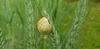 Czym uszczelnić cieknącą rurę co?