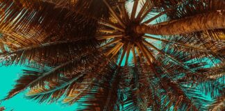 Czym przykręcić łaty?