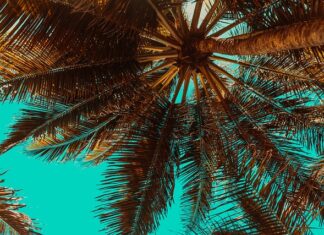 Czym przykręcić łaty? Czym przykręcić łaty?