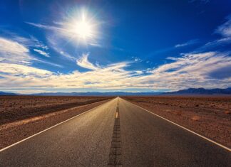 Co się dzieje po śmierci królowej pszczół?