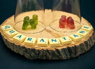 Jak izolować matki pszczele?