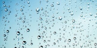 Czy mokre drzewo nadaje się do wędzenia?