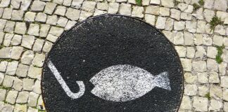 Ile kosztuje haczyk wędkarski?