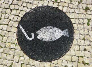 Ile kosztuje haczyk wędkarski?