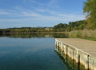 Co wróży wysyp grzybów?