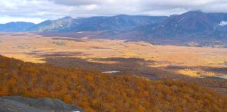 Co to jest Perlit ogrodniczy?