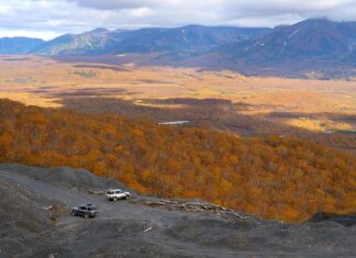 Co to jest Perlit ogrodniczy?