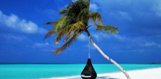 Na czym zawiesić hamak?