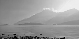 Ile kosztuje 5 litrów gruntu?