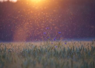 Jak się liczy punkty hydrauliczne? Jak się liczy punkty hydrauliczne?