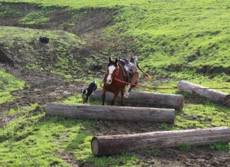Jak zrobić podstawę pod hamak? Jak zrobić podstawę pod hamak?