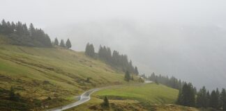 Jak wyrównać krzywe krokwie?