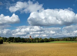 Czym jest grunt malarski?