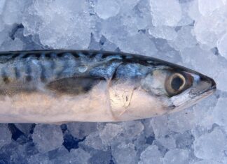 Jak długo trzeba wędzić makrelę?