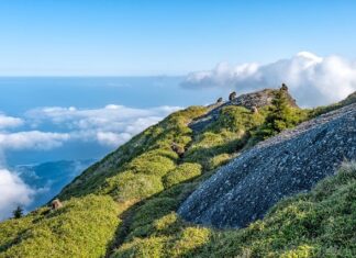 Jaka jest różnica między grzejnikiem a kaloryferem?