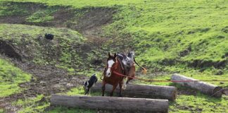 Jak zdjąć podstawę Hokera?