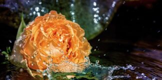 W czym moczyć nogę po przebiciu gwoździem?