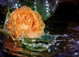 W czym moczyć nogę po przebiciu gwoździem?