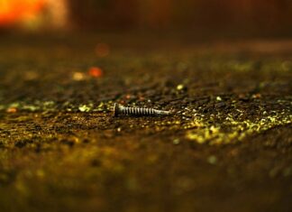 Ile kg wytrzyma wkręt? Ile kg wytrzyma wkręt?