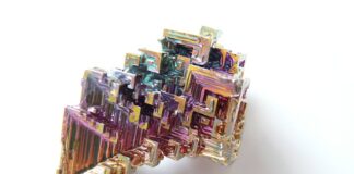 Jak się hoduje matki pszczele?