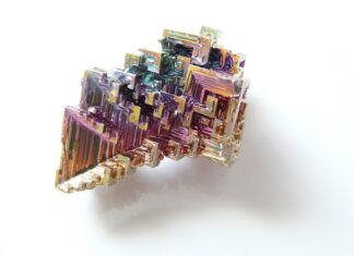 Jak się hoduje matki pszczele? Jak się hoduje matki pszczele?