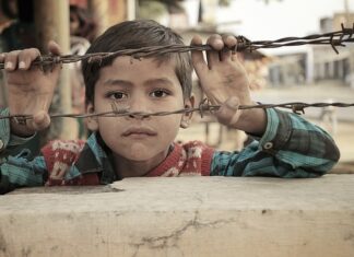 Jaki drut na haki do wędzarni?