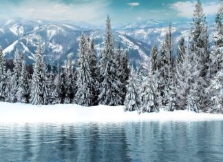 Co na pierwsze wędzenie?