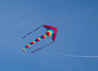 Co to znaczy rosną jak grzyby po deszczu?