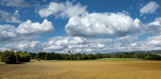 Ile schnie grunt forum?