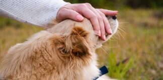 Co zrobić gdy wbije się gwóźdź w stopę?